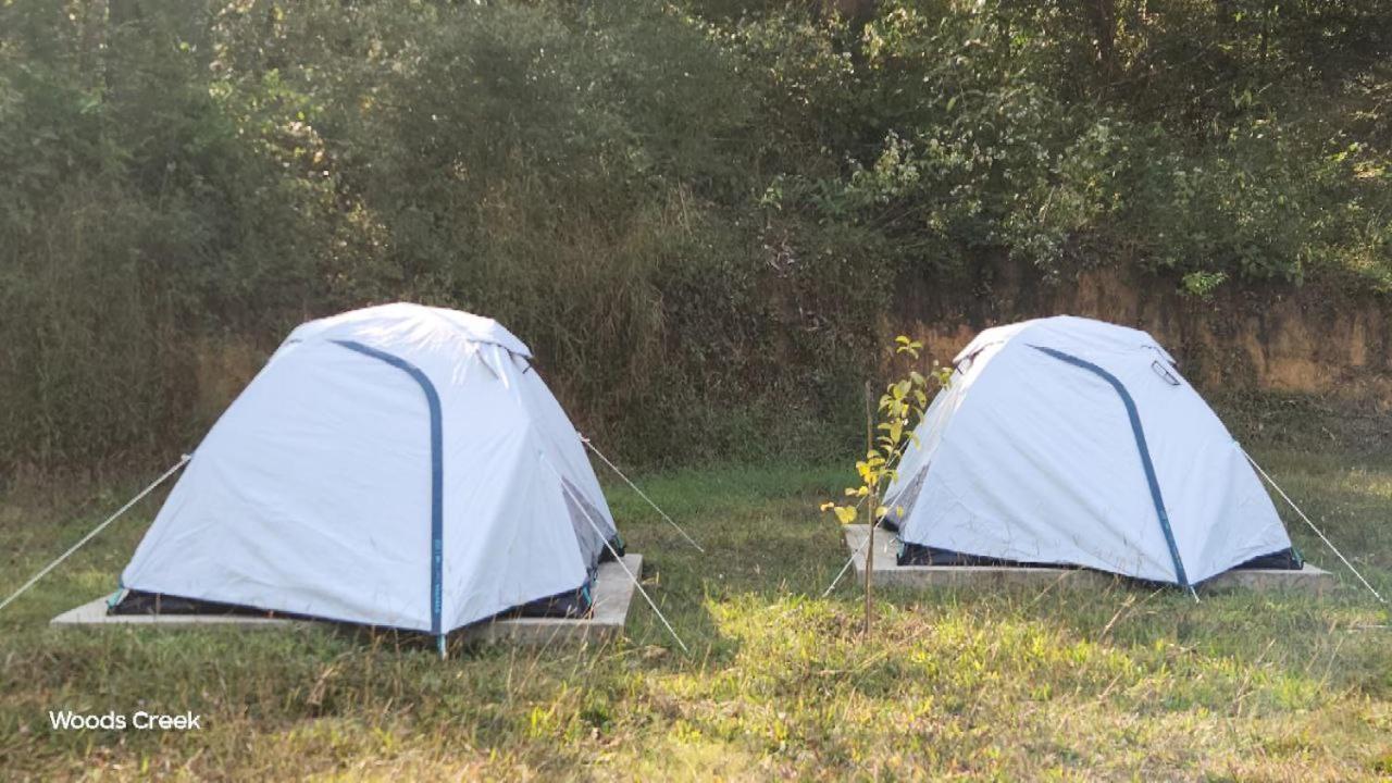 Woods Creek Apartman Dandeli Kültér fotó